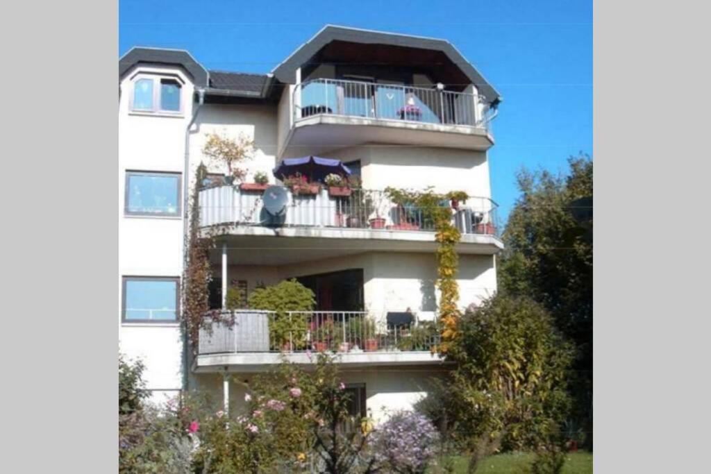 Souterrainwohnung Mit Grossem Garten Und Sauna Kassel Exteriér fotografie