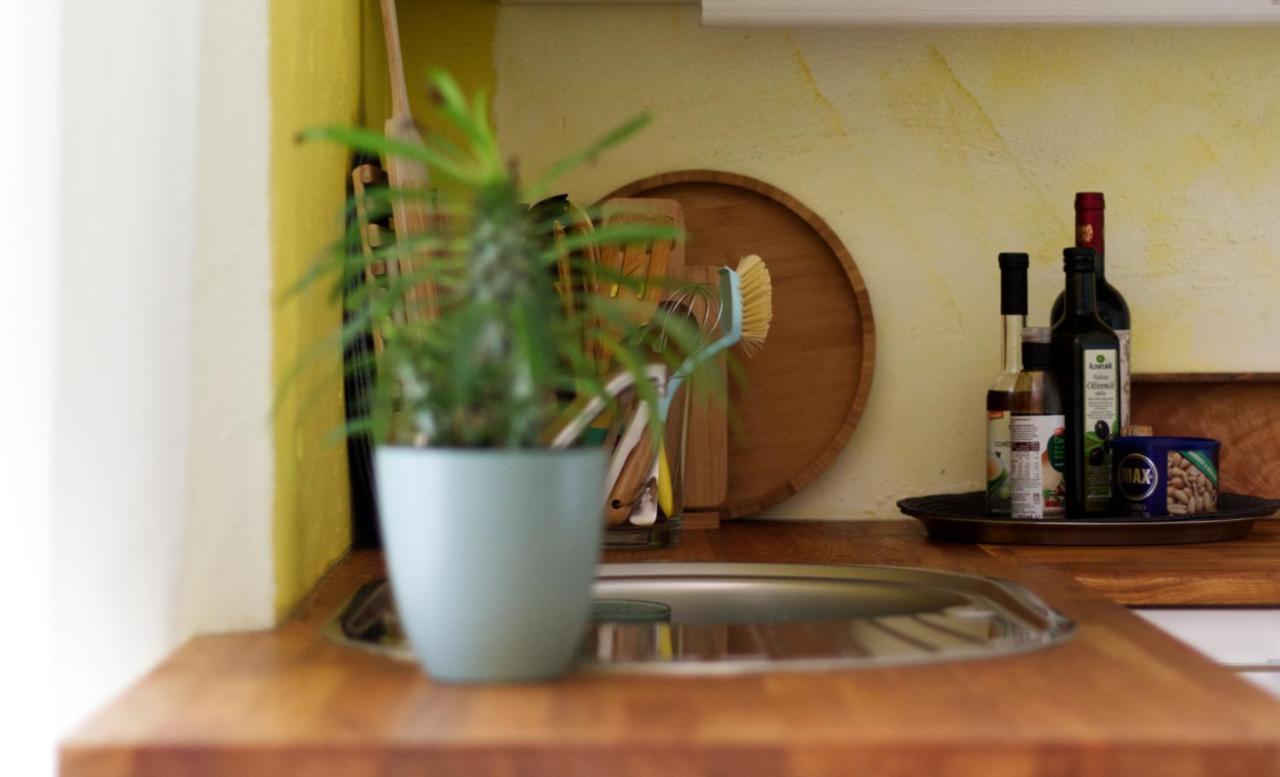 Souterrainwohnung Mit Grossem Garten Und Sauna Kassel Exteriér fotografie