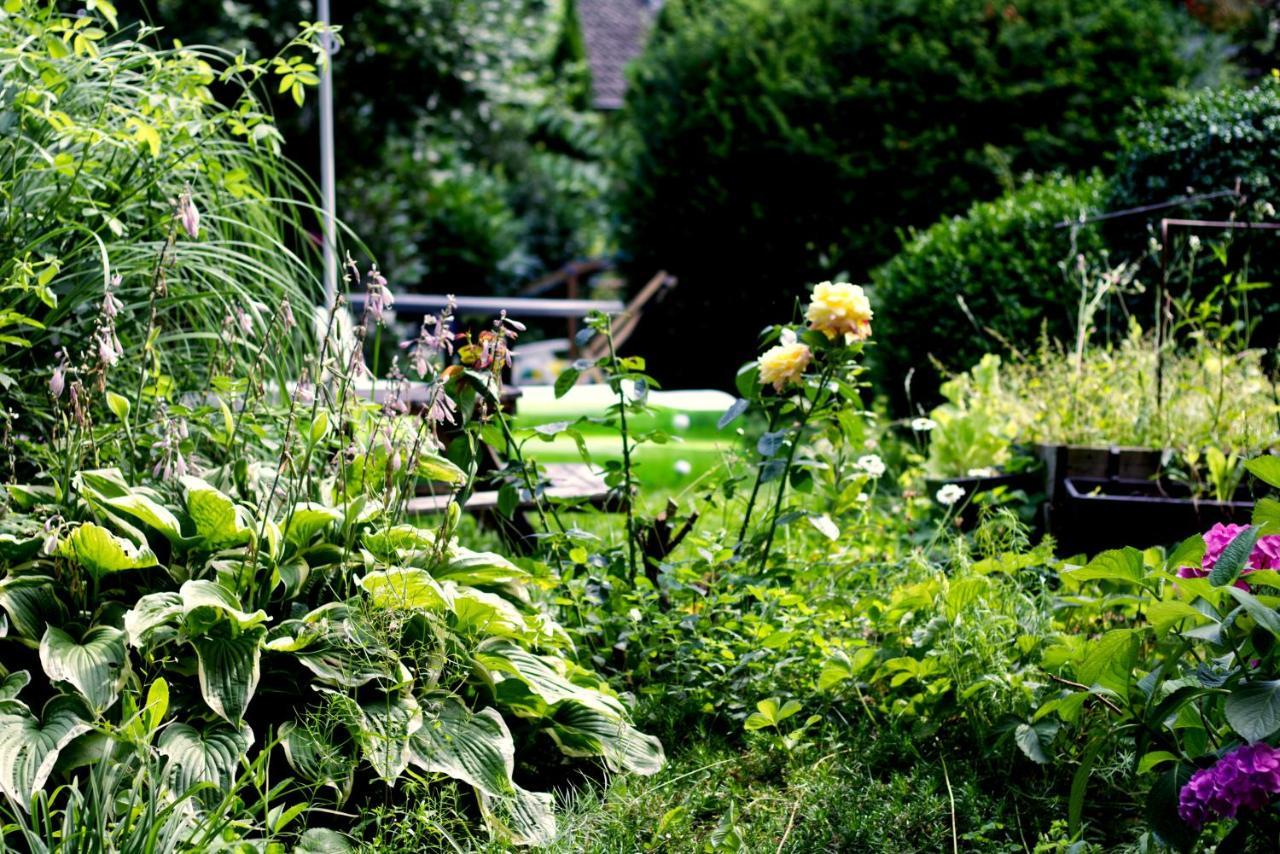 Souterrainwohnung Mit Grossem Garten Und Sauna Kassel Exteriér fotografie