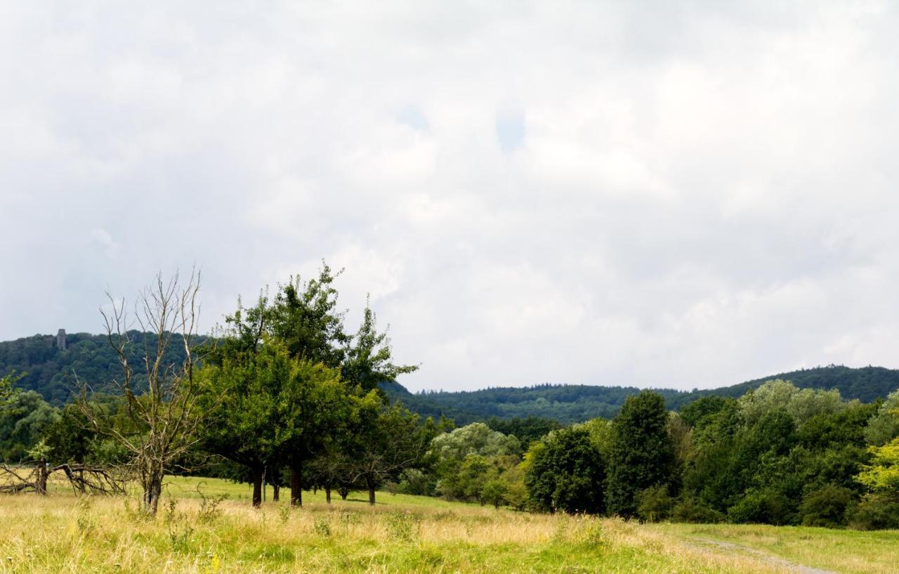 Souterrainwohnung Mit Grossem Garten Und Sauna Kassel Exteriér fotografie